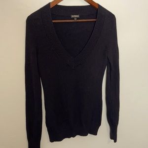 Express v neck sweater